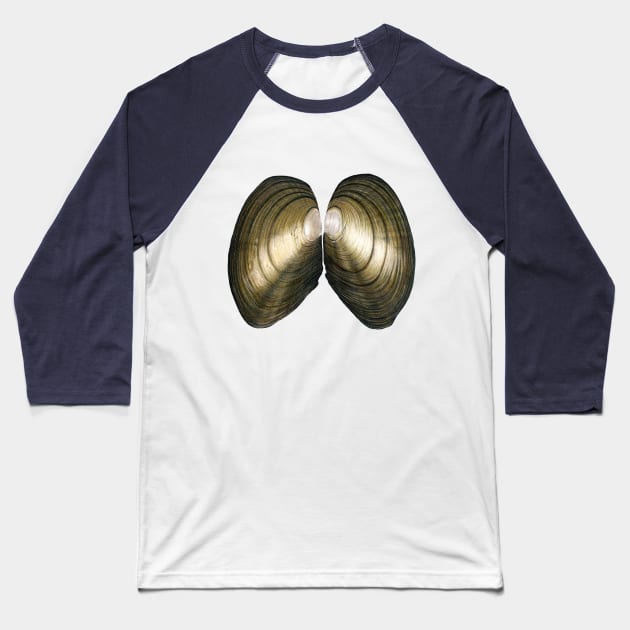 Duck Mussel (Anadonta Anatina) Baseball T-Shirt by illucalliart